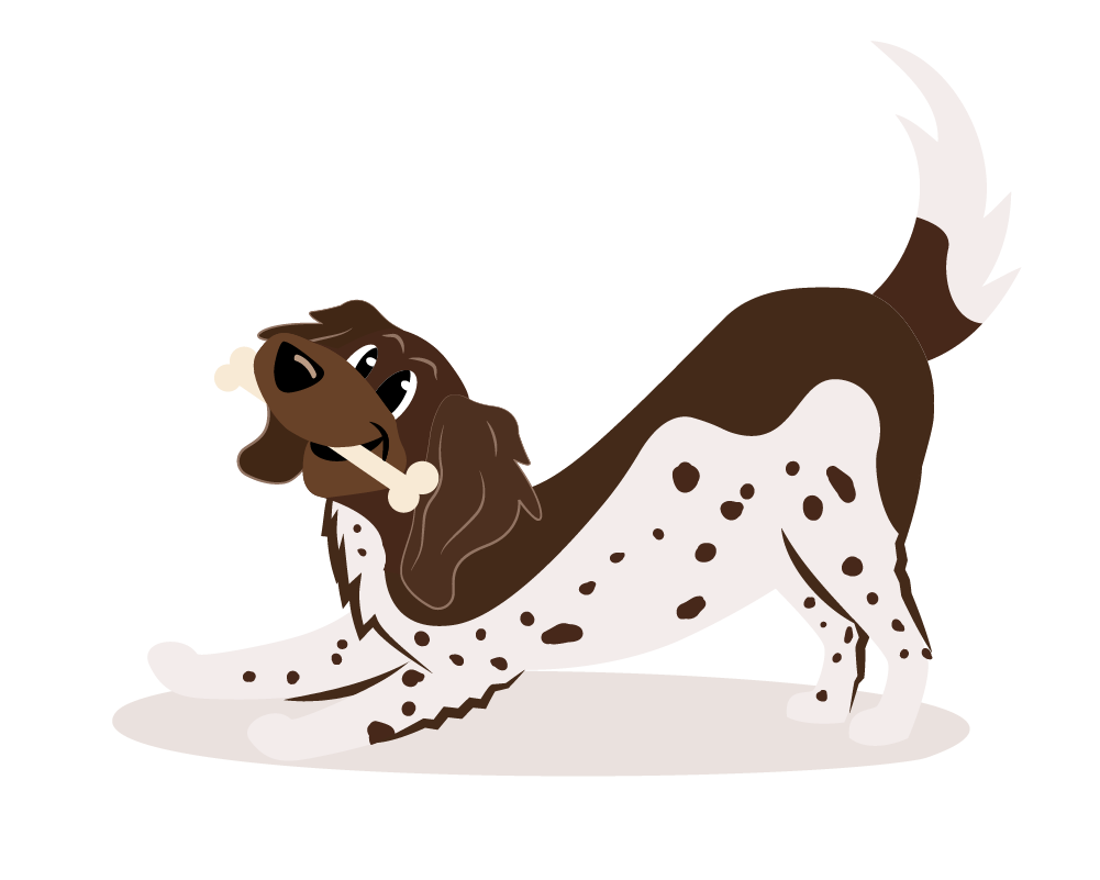 dog-account
