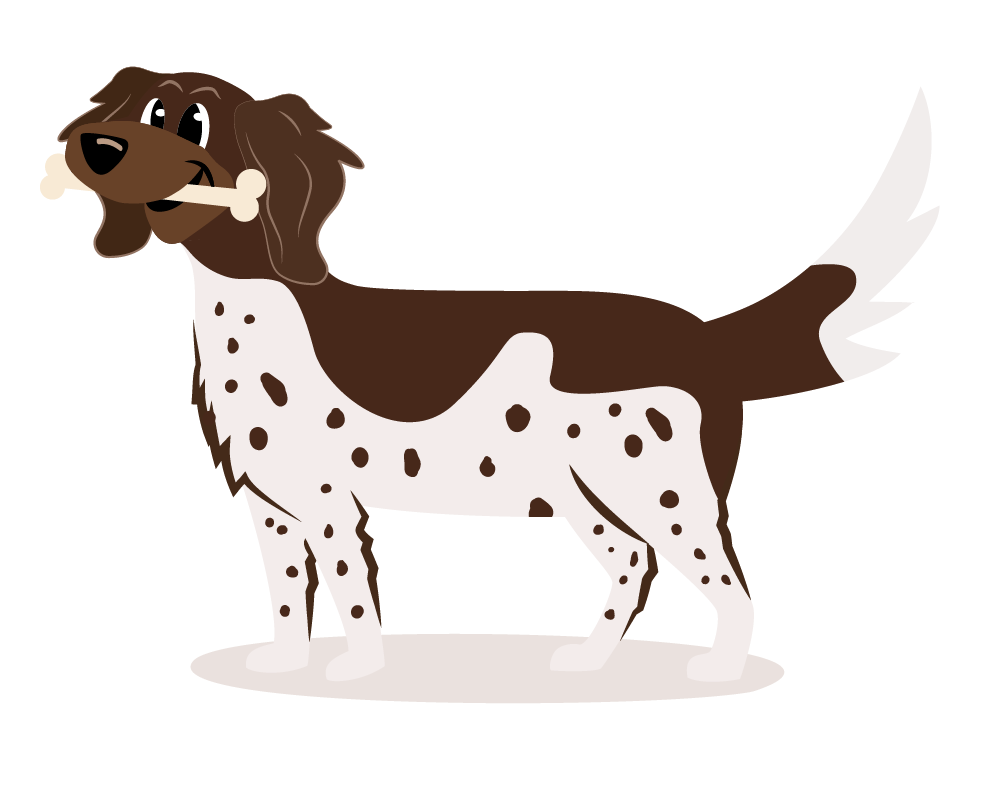 dog-account